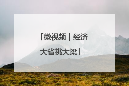 微视频｜经济大省挑大梁
