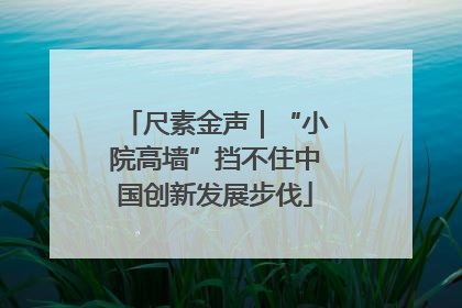 尺素金声｜“小院高墙”挡不住中国创新发展步伐