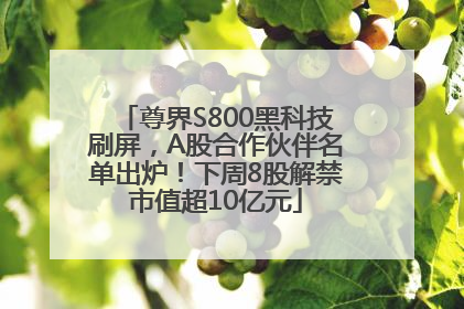 尊界S800黑科技刷屏，A股合作伙伴名单出炉！下周8股解禁市值超10亿元