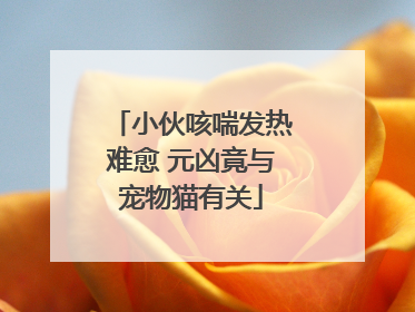 小伙咳喘发热难愈 元凶竟与宠物猫有关