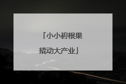 小小碧根果撬动大产业