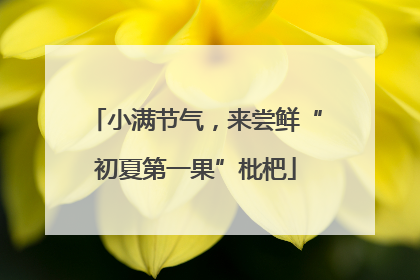 小满节气，来尝鲜“初夏第一果”枇杷
