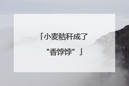 小麦秸秆成了“香饽饽”