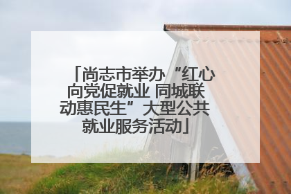 尚志市举办“红心向党促就业 同城联动惠民生”大型公共就业服务活动