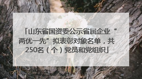 山东省国资委公示省属企业“两优一先”拟表彰对象名单，共250名（个）党员和党组织