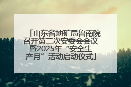 山东省地矿局鲁南院召开第三次安委会会议暨2025年“安全生产月”活动启动仪式