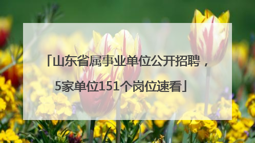 山东省属事业单位公开招聘，5家单位151个岗位速看