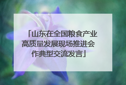 山东在全国粮食产业高质量发展现场推进会作典型交流发言