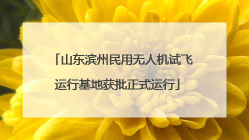 山东滨州民用无人机试飞运行基地获批正式运行