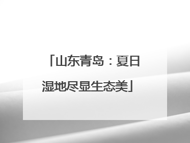 山东青岛：夏日湿地尽显生态美