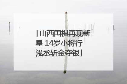山西围棋再现新星 14岁小将行泓丞斩金夺银
