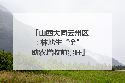 山西大同云州区：林地生“金” 助农增收前景旺