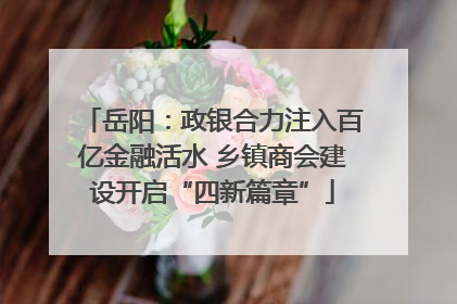 岳阳：政银合力注入百亿金融活水 乡镇商会建设开启“四新篇章”