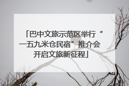 巴中文旅示范区举行“一五九米仓民宿”推介会 开启文旅新征程