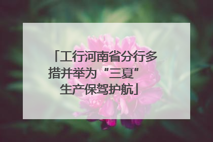 工行河南省分行多措并举为“三夏” 生产保驾护航