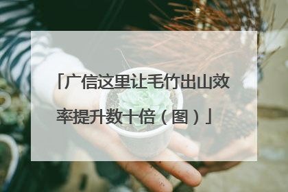 广信这里让毛竹出山效率提升数十倍（图）