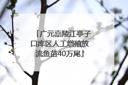 广元嘉陵江亭子口库区人工增殖放流鱼苗40万尾
