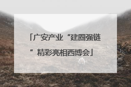 广安产业“建圈强链”精彩亮相西博会