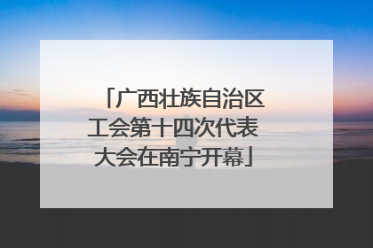 广西壮族自治区工会第十四次代表大会在南宁开幕