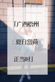 广西梧州：夏日赏荷正当时