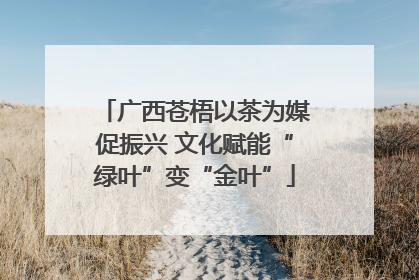 广西苍梧以茶为媒促振兴 文化赋能“绿叶”变“金叶”
