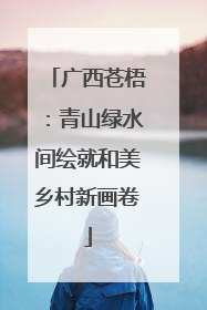广西苍梧：青山绿水间绘就和美乡村新画卷
