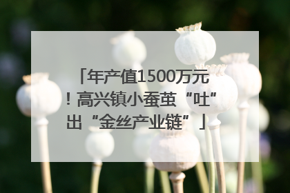 年产值1500万元！高兴镇小蚕茧“吐”出“金丝产业链”
