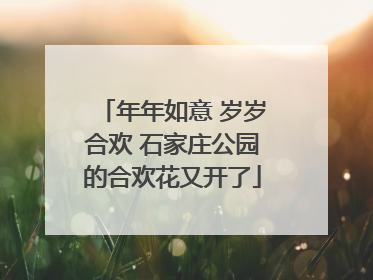 年年如意 岁岁合欢 石家庄公园的合欢花又开了