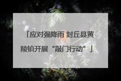 应对强降雨 封丘县黄陵镇开展“敲门行动”