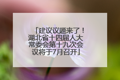 建议议题来了！湖北省十四届人大常委会第十九次会议将于7月召开