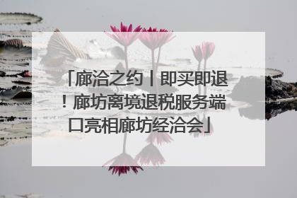 廊洽之约丨即买即退！廊坊离境退税服务端口亮相廊坊经洽会