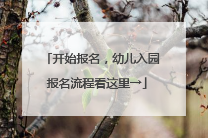 开始报名,幼儿入园报名流程看这里→