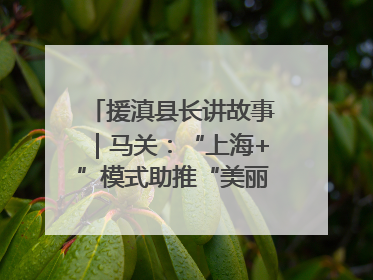 援滇县长讲故事｜马关：“上海+”模式助推“美丽产业”幸福绽放