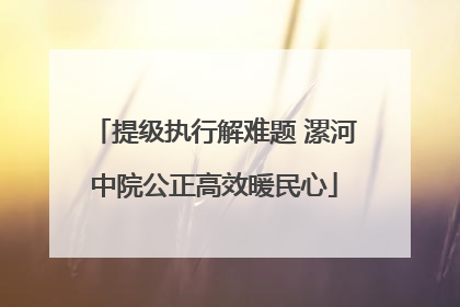 提级执行解难题 漯河中院公正高效暖民心