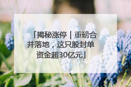 揭秘涨停｜重磅合并落地，这只股封单资金超30亿元