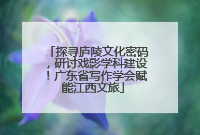 探寻庐陵文化密码，研讨戏影学科建设！广东省写作学会赋能江西文旅