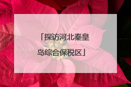 探访河北秦皇岛综合保税区