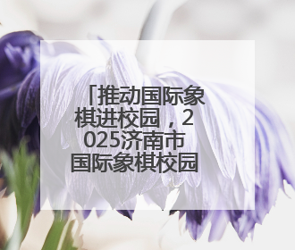 推动国际象棋进校园，2025济南市国际象棋校园团体赛举行