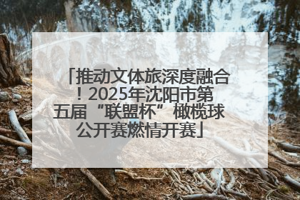 推动文体旅深度融合！2025年沈阳市第五届“联盟杯”橄榄球公开赛燃情开赛