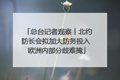总台记者观察丨北约防长会拟加大防务投入 欧洲内部分歧难掩