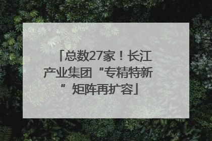 总数27家！长江产业集团“专精特新”矩阵再扩容