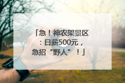 急！神农架景区：日薪500元，急招“野人”！