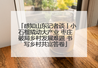 感知山东记者谈丨小石榴撬动大产业 枣庄破局乡村发展难题 书写乡村共富答卷