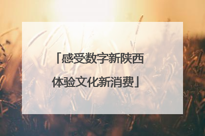 感受数字新陕西 体验文化新消费