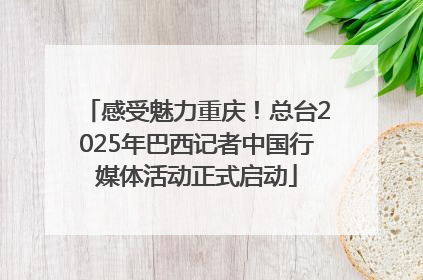 感受魅力重庆！总台2025年巴西记者中国行媒体活动正式启动