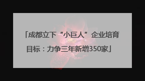 成都立下“小巨人”企业培育目标：力争三年新增350家