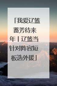 我爱辽篮 蓄芳待来年丨辽篮当针对阵容短板选外援