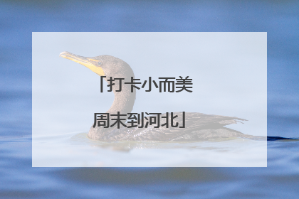 打卡小而美 周末到河北