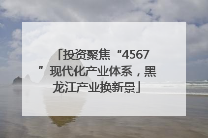 投资聚焦“4567”现代化产业体系，黑龙江产业换新景
