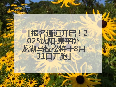 报名通道开启！2025沈阳·康平卧龙湖马拉松将于8月31日开跑